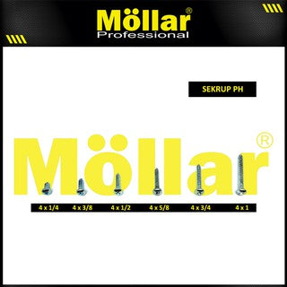 MOLLAR 93-015 Sekrup PH 4 x 3/8 - 100 pcs