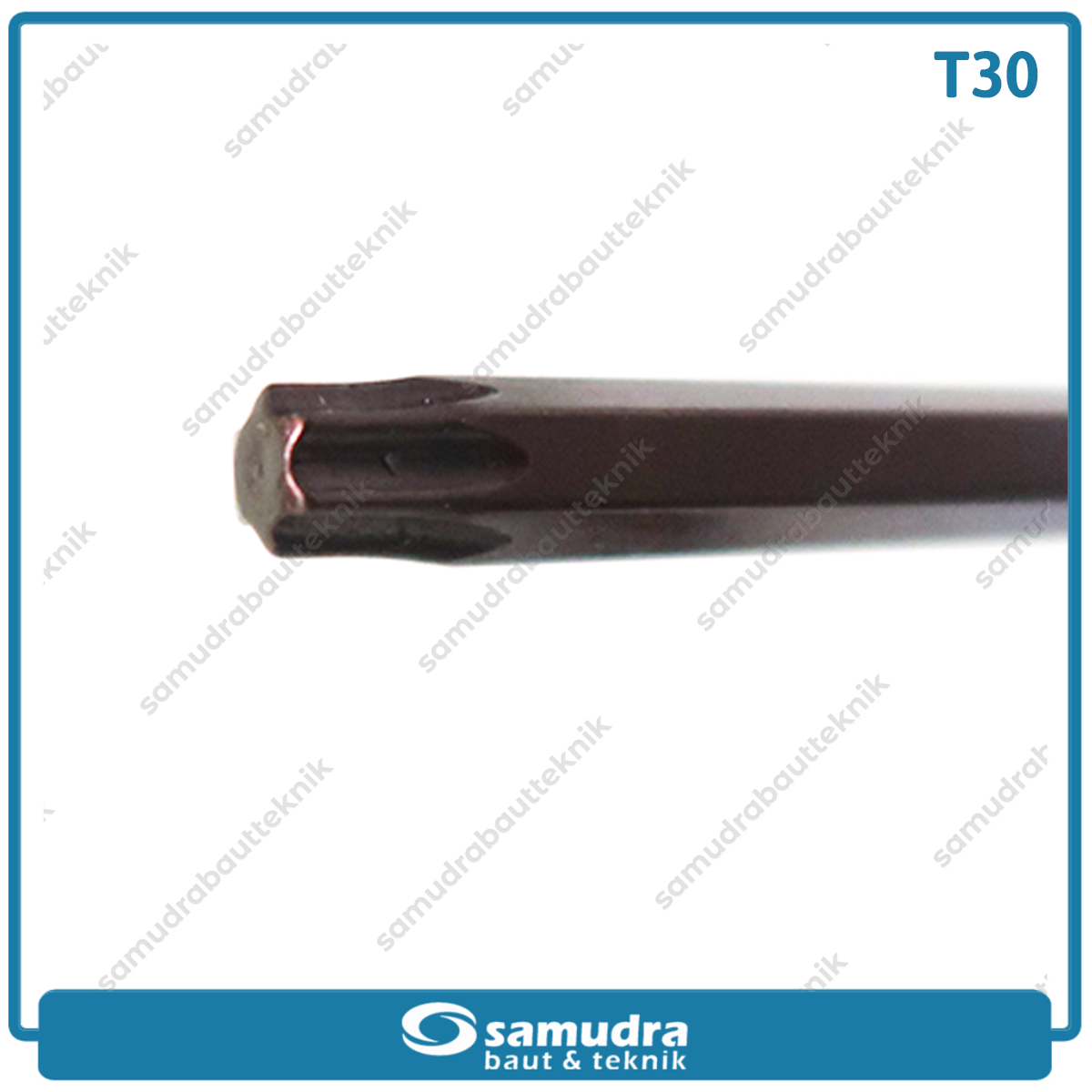 LIPPRO 163-T30 Kunci L Panjang Extra Long Bintang T30