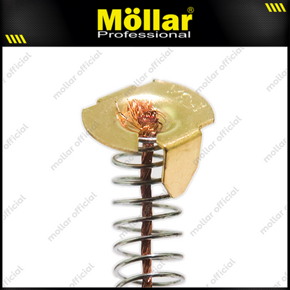 MOLLAR Carbon Brush CB153