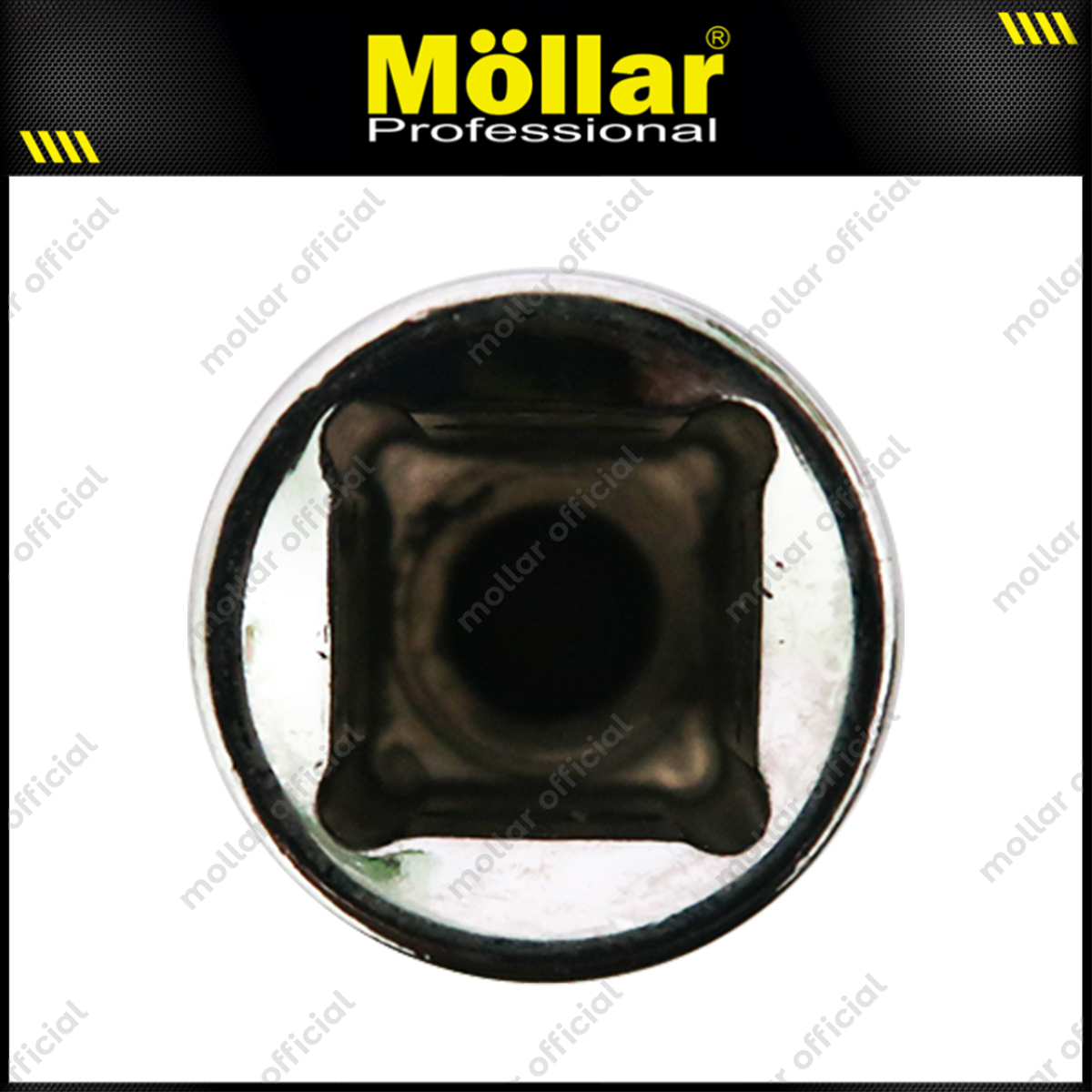 MOLLAR D13382 Mata Sok Bintang 1/2" T40