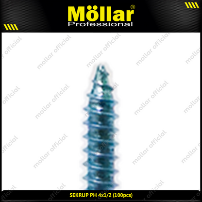 MOLLAR 93-016 Sekrup PH 4 x 1/2 - 100 pcs