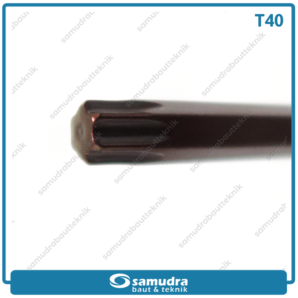 LIPPRO 163-T40 Kunci L Panjang Extra Long Bintang T40
