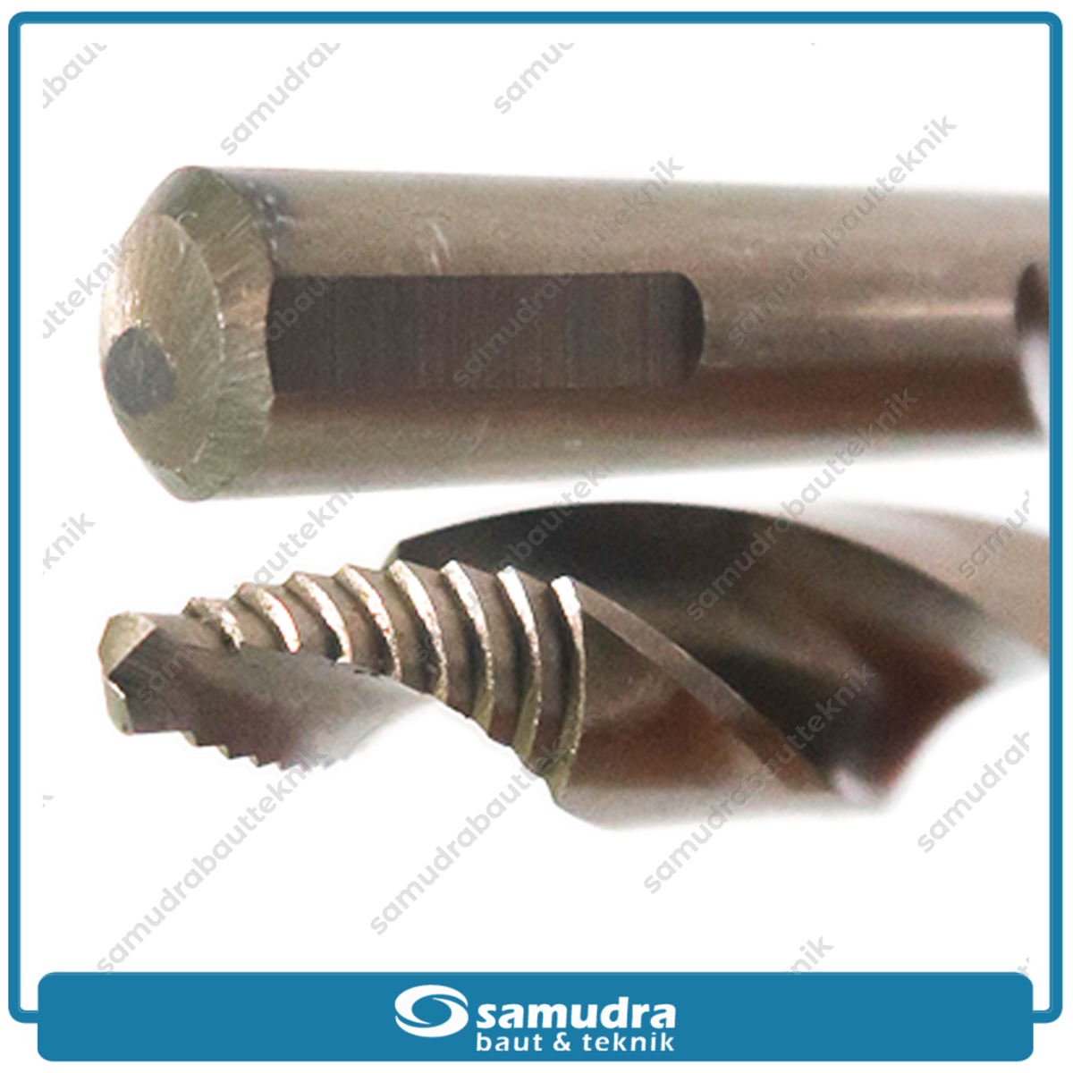 MOLLAR CST120 Mata Bor Cobalt Step-Tip 12 mm