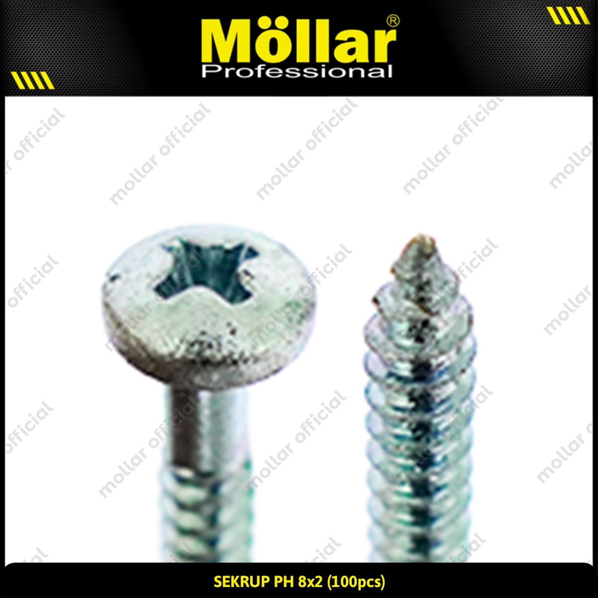 MOLLAR 93-036 Sekrup PH 8 x 2 - 100 pcs